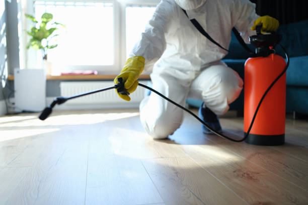 Reliable Odor Removal contractor in Granger, TX by Trauma Clean Pros